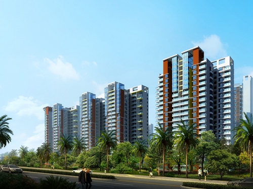 业主为什么看好海南未来前景？